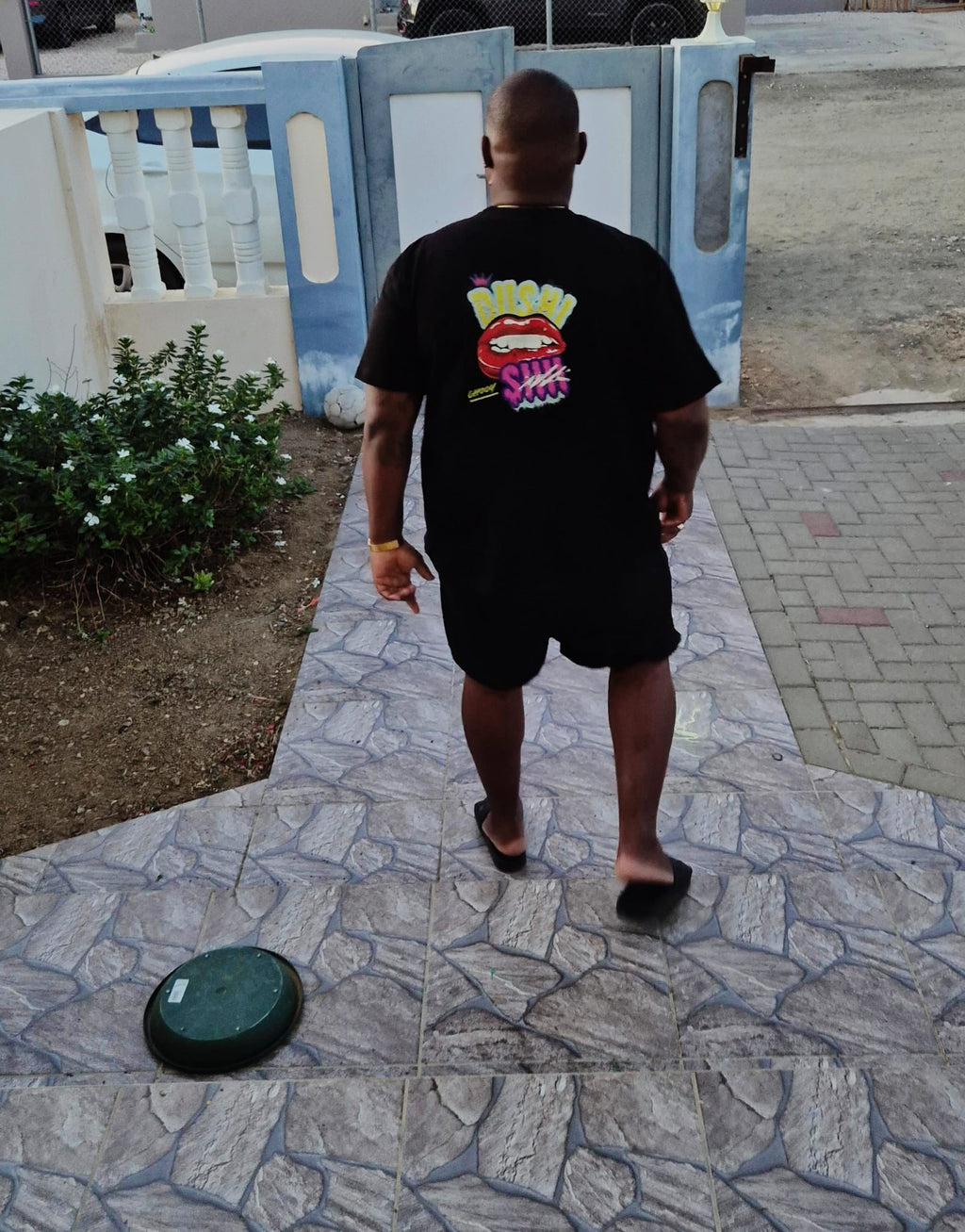 Dushi sii - Oversized Unisex Tee